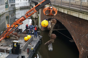 Weidenkugeln und andere Totholzstrukturen werden in den Fleet eingebracht.