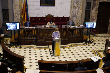 Paula Llobet, concejal del PP de Valencia