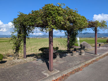  浜田広介記念館を出てすぐのあたりが旧一本柳駅跡と思われるが・・