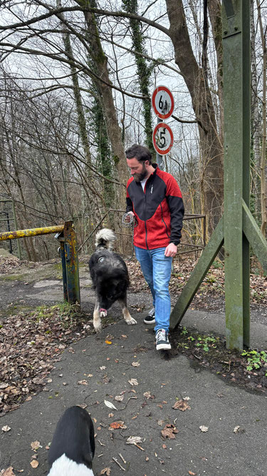 Einzeltraining - Robin Weiß beim Einzeltraing mit Kundenhund
