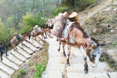 How to Trek Annapurna Circuit and the Annapurna Base Camp without a guide - Day 12