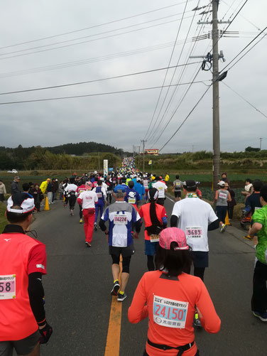 坂のせいでアリの行列のように見えてしまいます