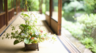 高齢者レクリエーション、アクティビティ代行：健康・運動