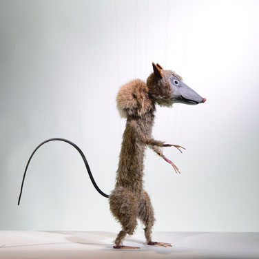 Marionette Ratte