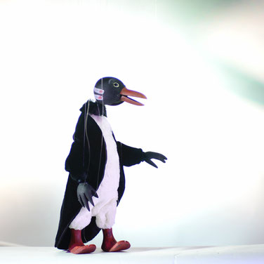 Marionette Penguin