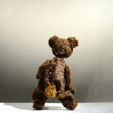 Marionette brown bear