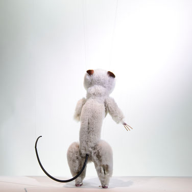 Marionette Ratte, weiß