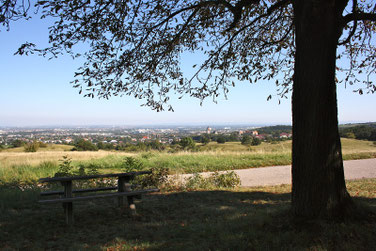 https://commons.wikimedia.org/wiki/File:Perchtoldsdorfer_Heide_II.jpg