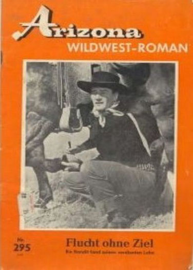 Arizona Wildwest-Roman 295