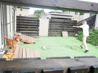 デラ君は固まって、まゅうらは隠れてます!
