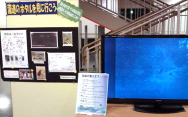同じくDVDを上映中。(共にサンプラザ地下で/写真提供:石田さん)