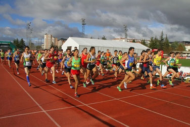 GALERIA DE FOTOS POR CATEGORIAS