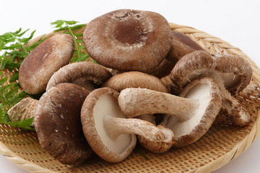 野菜