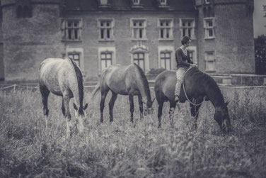 Laetitia Clerget, BPJEPS équitation et BFEEE1 éthologie