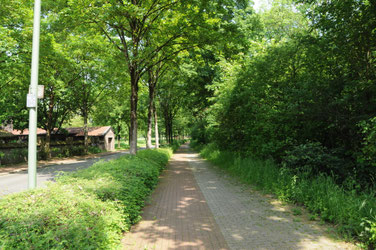 Wanheimer Straße Blickrichtung Norden