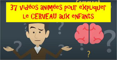 CERVEAU MODE D'EMPLOI: 37 animations