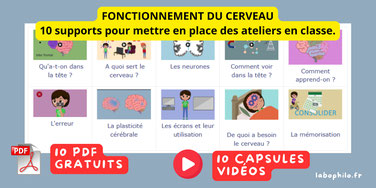 Neurosciences. Cerveau. Comment aider les élèves à mieux apprendre?
