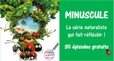 30 épisodes de la série "MINUSCULE"