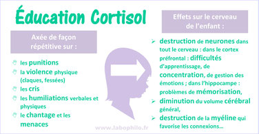 CORTISOL et CERVEAU: les effets