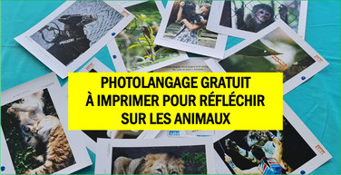Les ANIMAUX