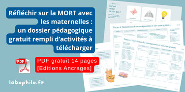 Philosophie pour enfants. La mort. Le deuil. Pourquoi mon poisson rouge est mort. Julien Ledoux. Editions Ancrages. Dossier PDF gratuit. Album jeunesse sur la mort. Enfants de 3 ans.
