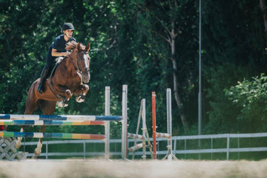 Formation BPJEPS équitation dans l'Yonne