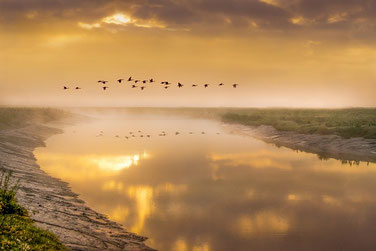 Weite Landschaft mit Fluss und Vögeln in Abendstimmung