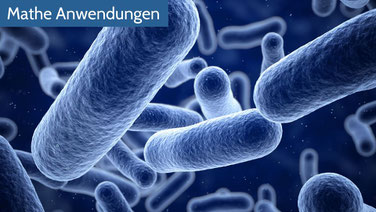 Tödliche Mathematik der Bakterien