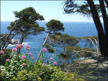 Vue sur la mer depuis le Cap Sicié