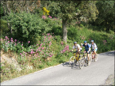 Randonnée à vélo à Six Fours dans le Var