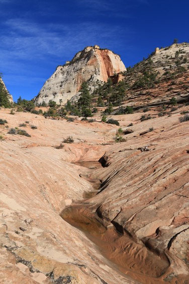 Zion NP - Many Pools Trail