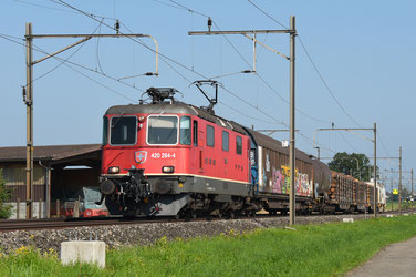 Bahnfoto Schweiz SBB Re 4/4II P.Trippi   