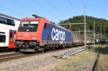 SBB Cargo 484 019, 18.7.2024 Effingen