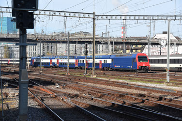Peider Trippi