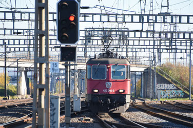 Peider Trippi