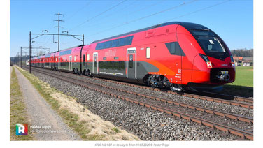 Peider Trippi