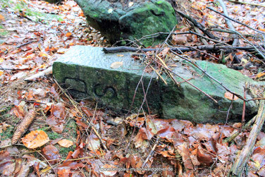 Vorgänger der "DDR" Grenzsteine im Hohwaldgebiet