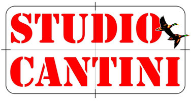 Studio Cantini - Massimo Cantini pittore