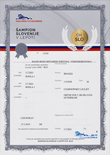 Bagio Boss Gintarine Fortuna * Lord James *, Czarnowsky , Beagle, Beagle, Beagle, Beagle, Beagle, Champions, Winner, the Best, Love, Star