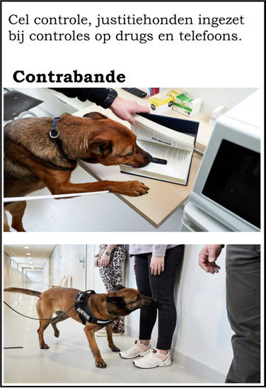 contrabande