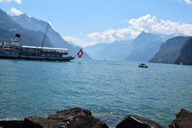 Die schönsten在der Schweiz看到- Vierwaldstättersee