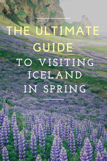 The Ultimate Guide to Visiting Iceland in Spring