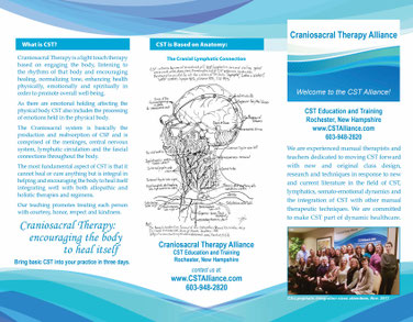 csta brochure