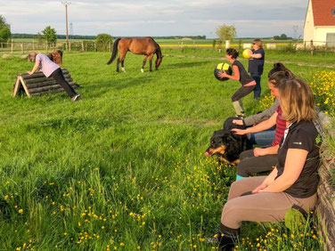 Cours collectifs pour entraînement physique du cavalier, Ecurie les Rouillons, 89 Sens