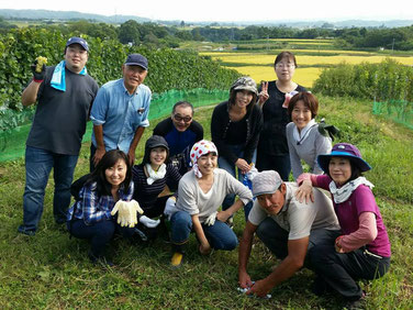 COMPANY - CYCLO VINEYARDS-シクロヴィンヤード- COMPANY - CYCLO VINEYARDS-シクロヴィンヤード-