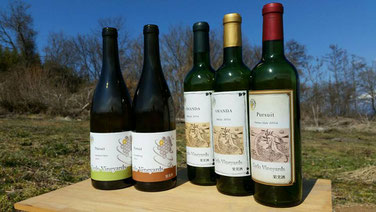 COMPANY - CYCLO VINEYARDS-シクロヴィンヤード- COMPANY - CYCLO VINEYARDS-シクロヴィンヤード-