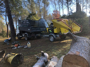 Location broyeur à végétaux sur Gassin pour l'abattage d'arbre
