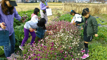 静岡　花育　フラワーセラピー