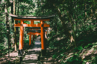 Usui Reiki Lebensregeln