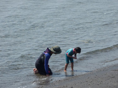 びゅーんに飽きたら海遊び。貝殻あったかな？？